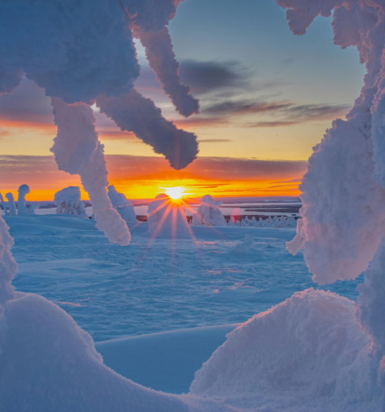 Icy Arctic Blast