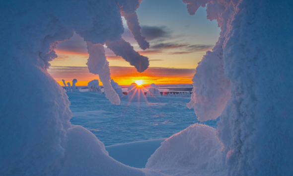 Icy Arctic Blast