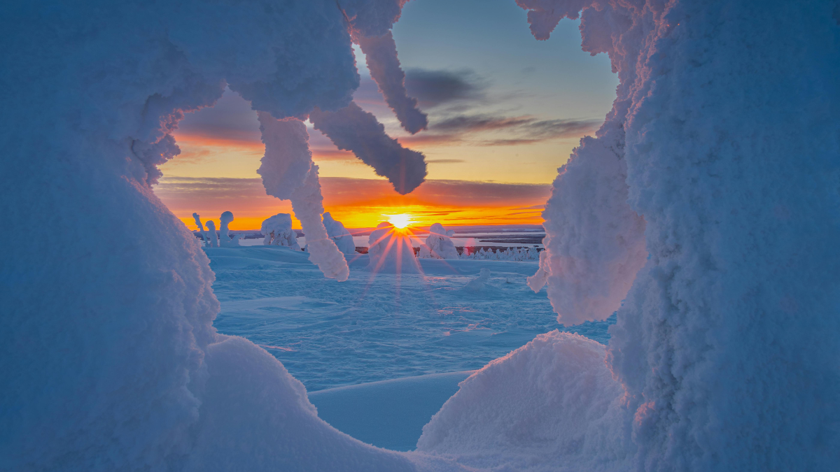 Icy Arctic Blast